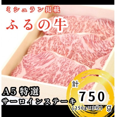 【毎月定期便】ふるの牛Bセット(有限会社ふるの) ミシュラン掲載　牧場直送 全3回