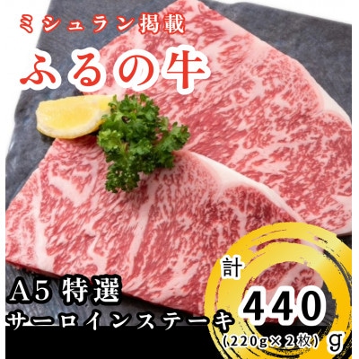 【毎月定期便】ふるの牛Aセット(有限会社ふるの)　ミシュラン掲載　牧場直送 全3回