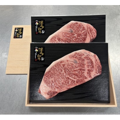 博多和牛 サーロインステーキ 600g(300g×2枚)