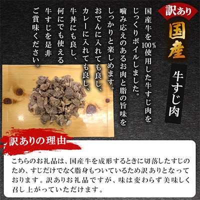 訳あり★下処理不要!ボイル済み 国産牛すじ肉 計約600g(約300g×2袋)(鞍手町)