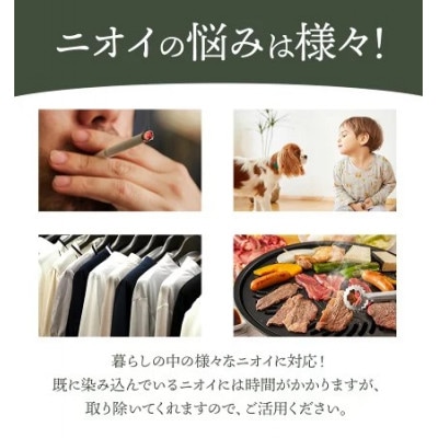 消臭ネット　漆Ider B