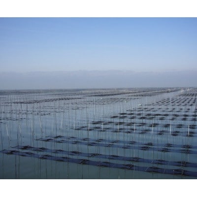 一番摘み有明海苔(8切80枚×2本　計160枚)　有明海柳川産　海苔詰合せ「自慢の味海苔」