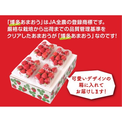 博多あまおう250g×4パック(鞍手町)