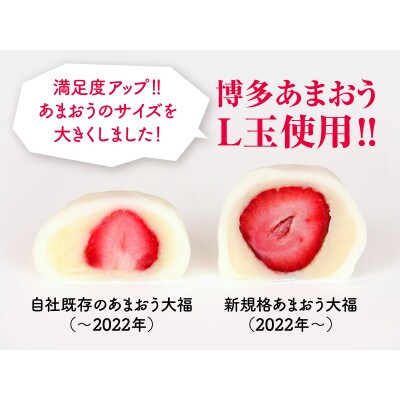 博多あまおう　ごろっと苺大福(鞍手町)
