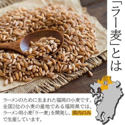 ラーメン専用小麦粉【ラー麦】合計5.4kg(鞍手町)