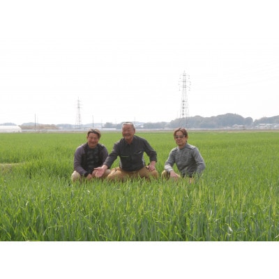 あいば農園産の白米6kg　うまいはずだよ「おとみさん」