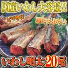 【3ヵ月毎定期便】ピリ辛　いわし明太20尾(鞍手町)全4回