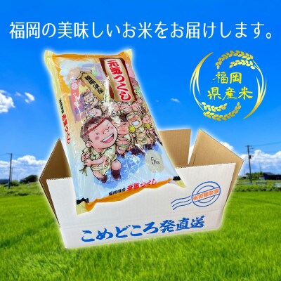 令和5年産 福岡県産 元気つくし(5kg)