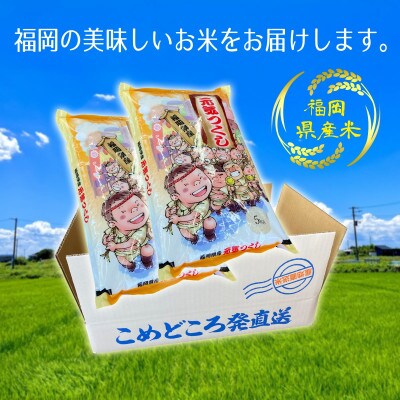 令和5年産 福岡県産 元気つくし(10kg)