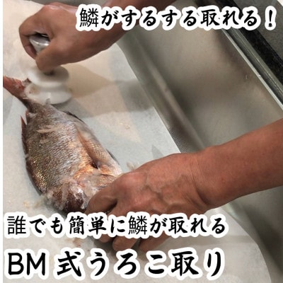 BM式うろこ取り
