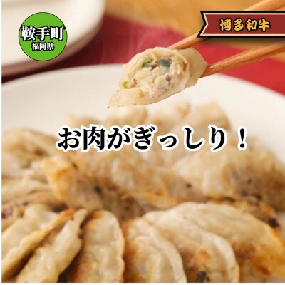 博多和牛 手作り餃子　20個×4パック(鞍手町)