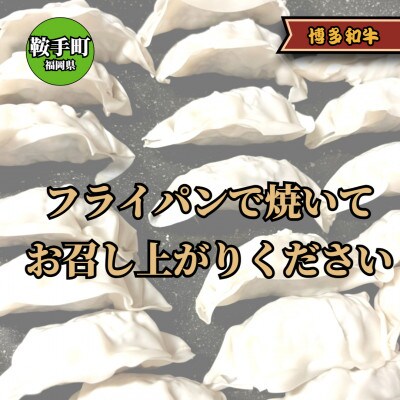 博多和牛 手作り餃子　20個×4パック(鞍手町)