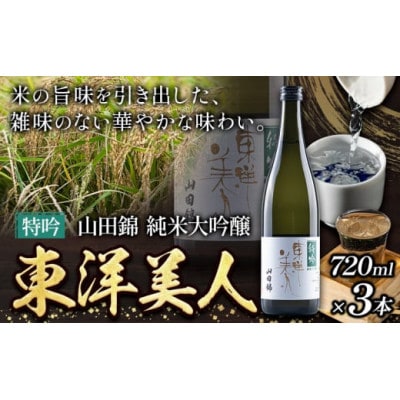 東洋美人　特吟　純米大吟醸(720ml×3本・日本酒)