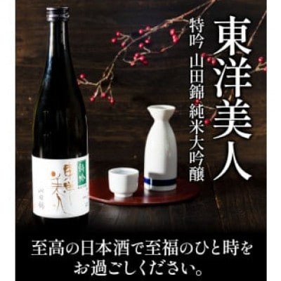 東洋美人　特吟　純米大吟醸(720ml×3本・日本酒)