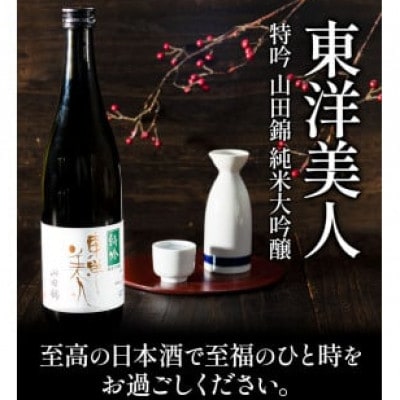 東洋美人　特吟　純米大吟醸(720ml×9本・日本酒)