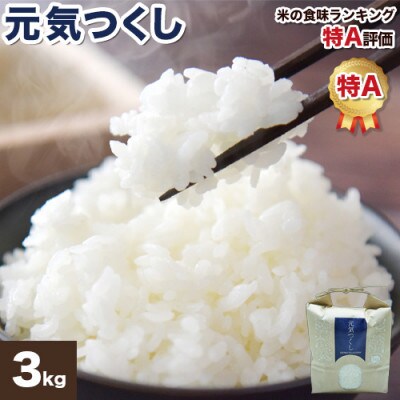 【福岡県産米】元気つくし 3kg×1袋