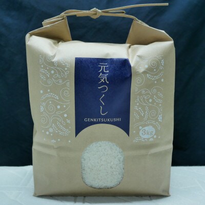 【福岡県産米】元気つくし 3kg×1袋