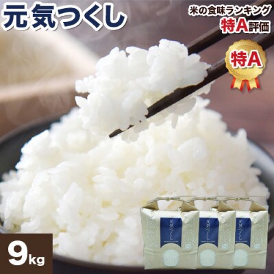 【福岡県産米】元気つくし 3kg×3袋