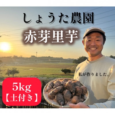 しょうた農園の赤芽里芋(5kg)