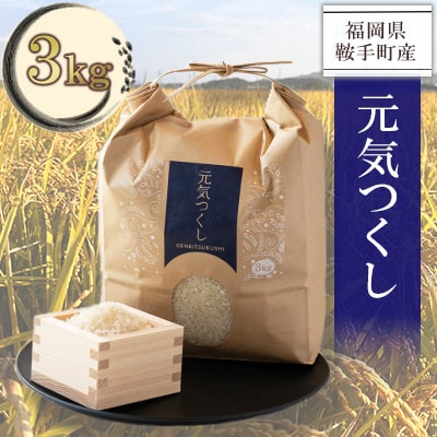 【福岡県産米】元気つくし 3kg×1袋