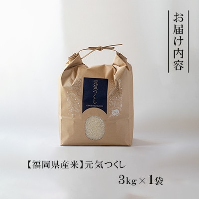 【福岡県産米】元気つくし 3kg×1袋