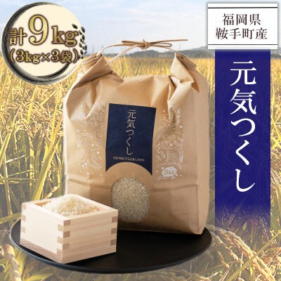 【福岡県産米】元気つくし 3kg×3袋