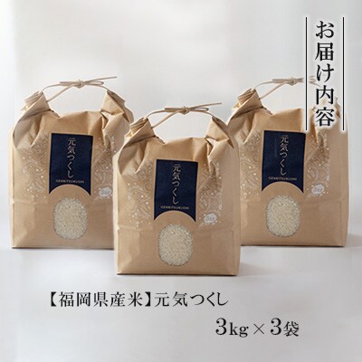 【福岡県産米】元気つくし 3kg×3袋