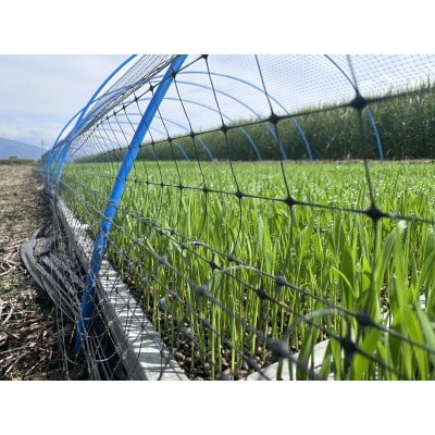 日本酒『鞍-kura』2本セット