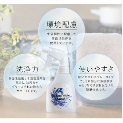 多目的洗浄液 RWK 240ml(レイディアントホワイトキセキ)