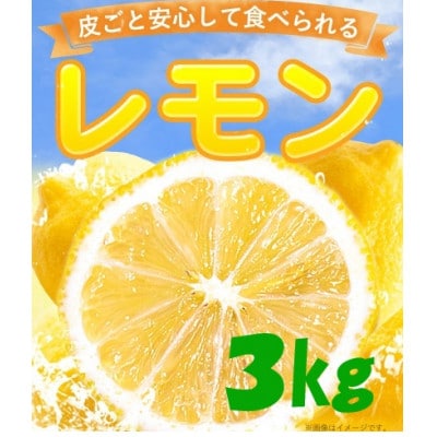 【訳あり】レモン3kg(2種類食べ比べ)　農園直送　栽培期間中農薬不使用