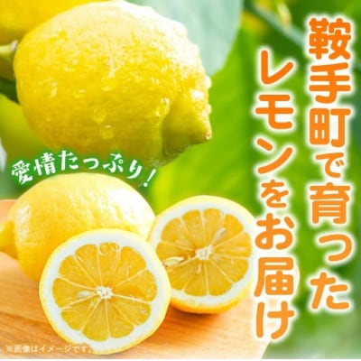 【訳あり】レモン3kg(2種類食べ比べ)　農園直送　栽培期間中農薬不使用