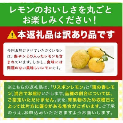【訳あり】レモン3kg(2種類食べ比べ)　農園直送　栽培期間中農薬不使用