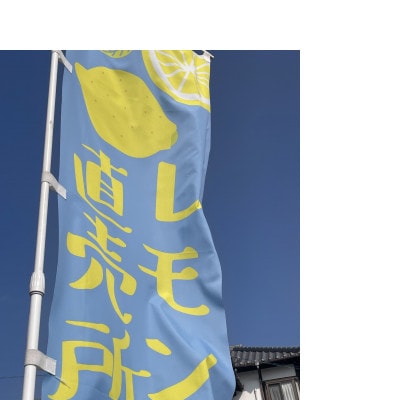 【訳あり】レモン3kg(2種類食べ比べ)　農園直送　栽培期間中農薬不使用