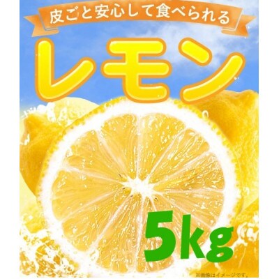 【訳あり】レモン5kg(2種類食べ比べ)農園直送 栽培期間中農薬不使用