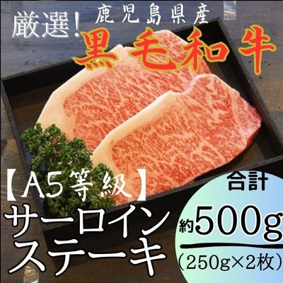 鹿児島県産【A5等級】厳選!黒毛和牛サーロインステーキ約250g×2枚!【きりしま畜産】　C-030