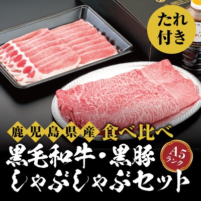 鹿児島県産黒毛和牛【A-5ランク】&黒豚しゃぶしゃぶセット(たれ付き)【今肉屋】 B-011