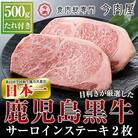 【A5ランク】黒毛和牛ステーキ計約500g(250g×2枚)【今肉屋】　C-013　