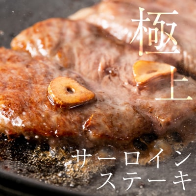 《A5ランク》黒毛和牛ステーキ計約500g(250g×2枚)【今肉屋】　C-013　