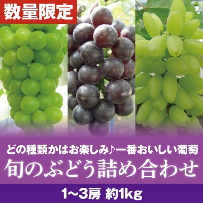 『旬』のぶどう詰め合わせ【さくら農園】A-086 