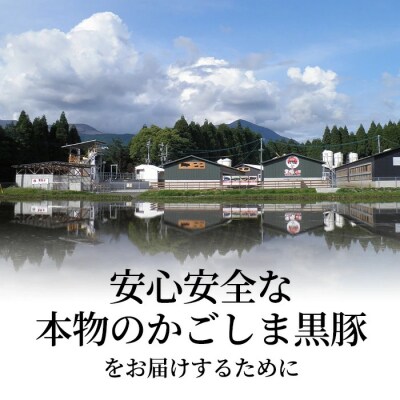 黒豚特選しゃぶしゃぶ1kgセット【霧島高原ロイヤルポーク】C-011 