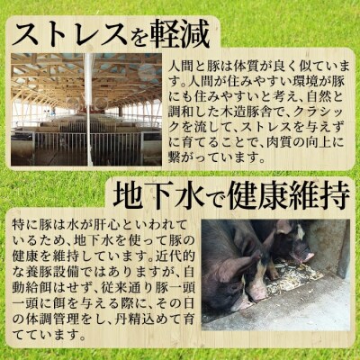 黒豚しゃぶしゃぶ(木箱入) 合計700g【霧島高原ロイヤルポーク】　B-099 
