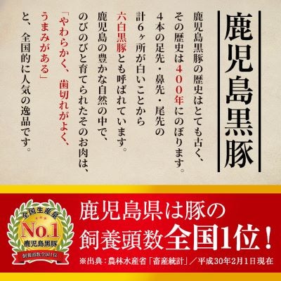 鹿児島黒豚しゃぶしゃぶ鍋セット【九面屋】　A-159