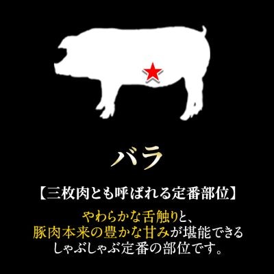 鹿児島黒豚しゃぶしゃぶ鍋セット【九面屋】　A-159