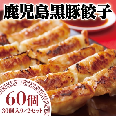 鹿児島黒豚餃子　60個【九面屋】　A-109 