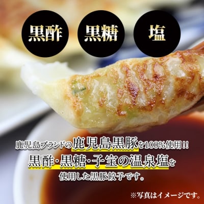 鹿児島黒豚餃子60個(30個×2)【九面屋】A-109 