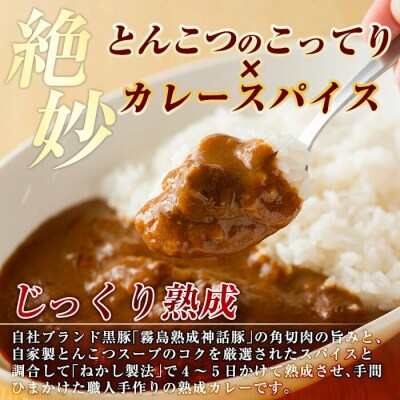  《通常便》鹿児島黒豚 霧島神話豚レトルトカレー  計5食【富士食品】A-044 