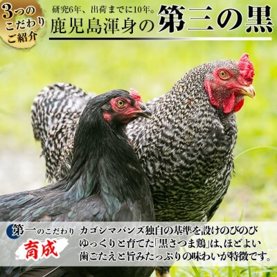 黒さつま鶏しゃぶしゃぶセット(2～3人前)【カゴシマバンズ】　A-137