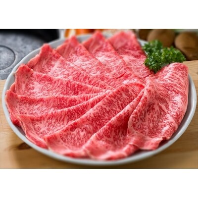 《数量限定》鹿児島県産黒毛和牛リブロース肉(A-5等級)600g【九面屋】　C-080