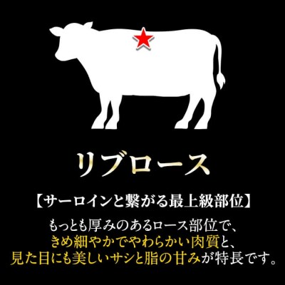 《数量限定》鹿児島黒牛リブロース肉600g(A-5等級) 【九面屋】C-080