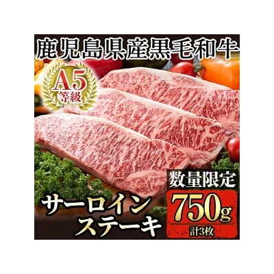 <数量限定!>鹿児島県産黒毛和牛サーロインステーキ3枚 計750g(A-5等級)【九面屋】D-064